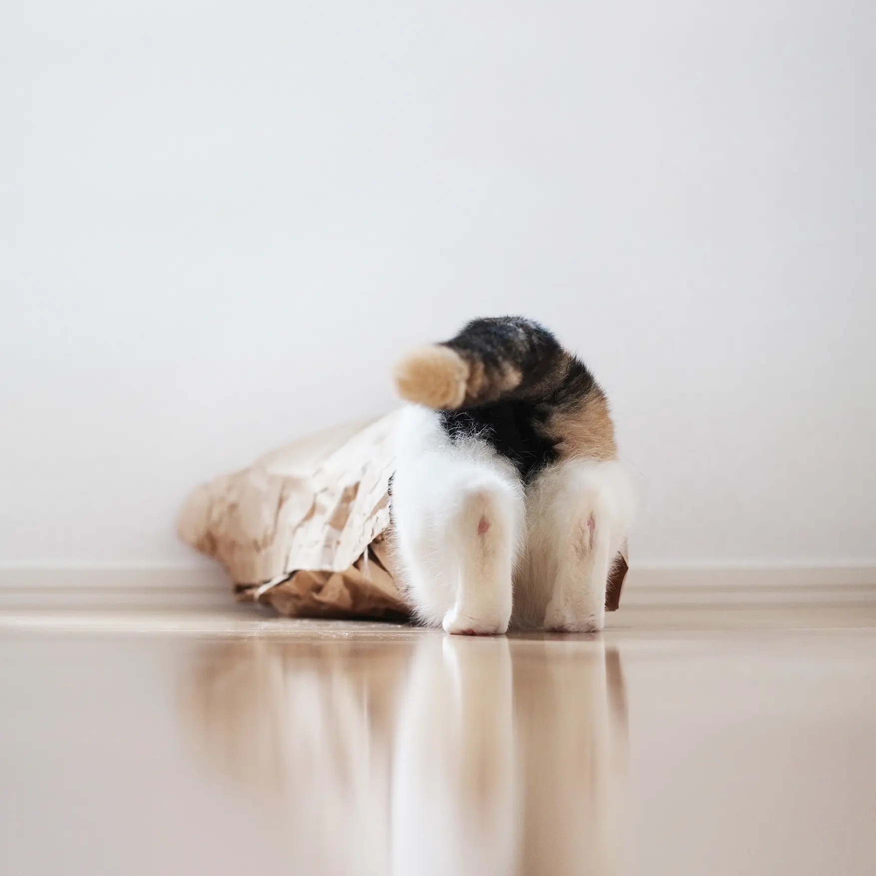 Thumbnail of the photo "DB023433"