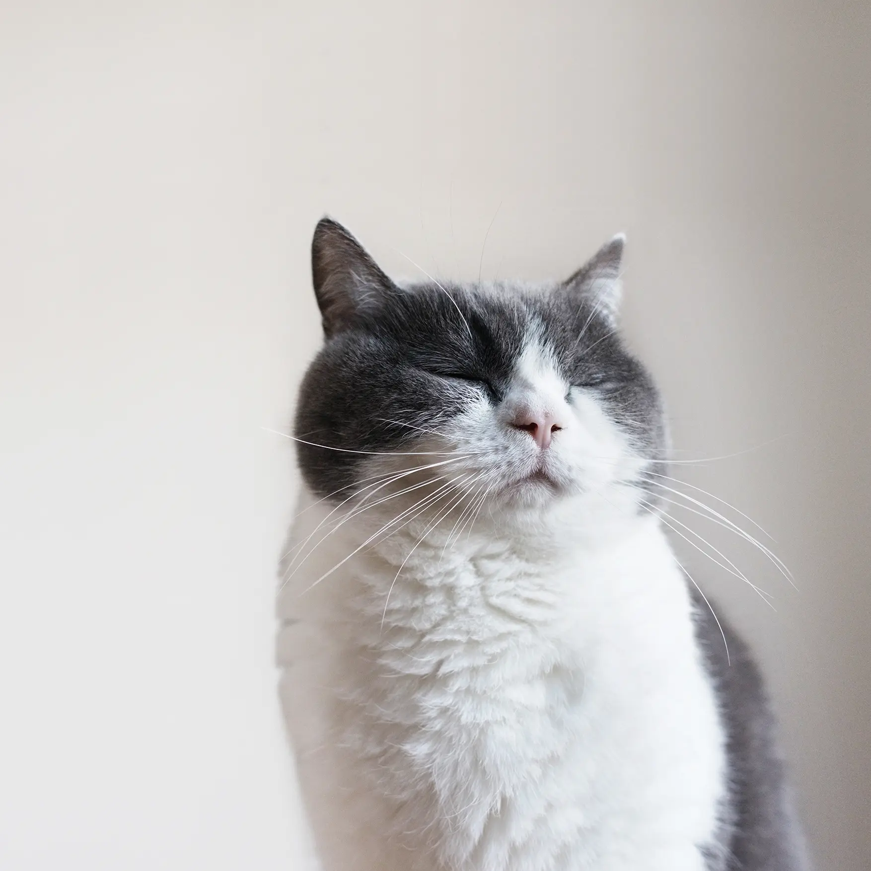 Thumbnail of the photo "DC031662"