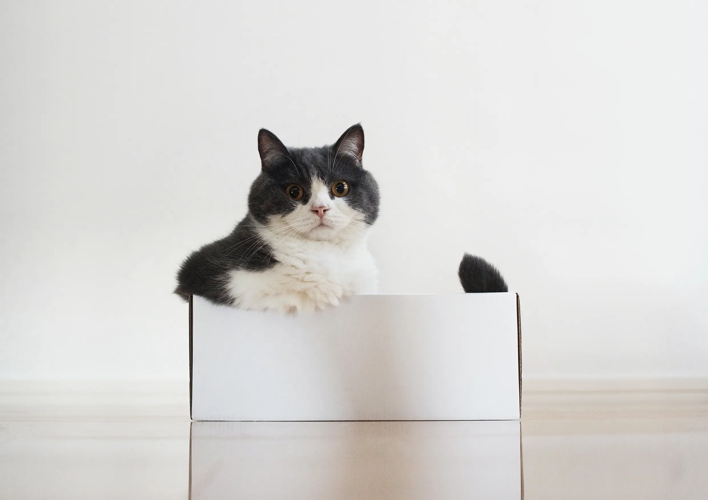 Thumbnail of the photo "DC036331"