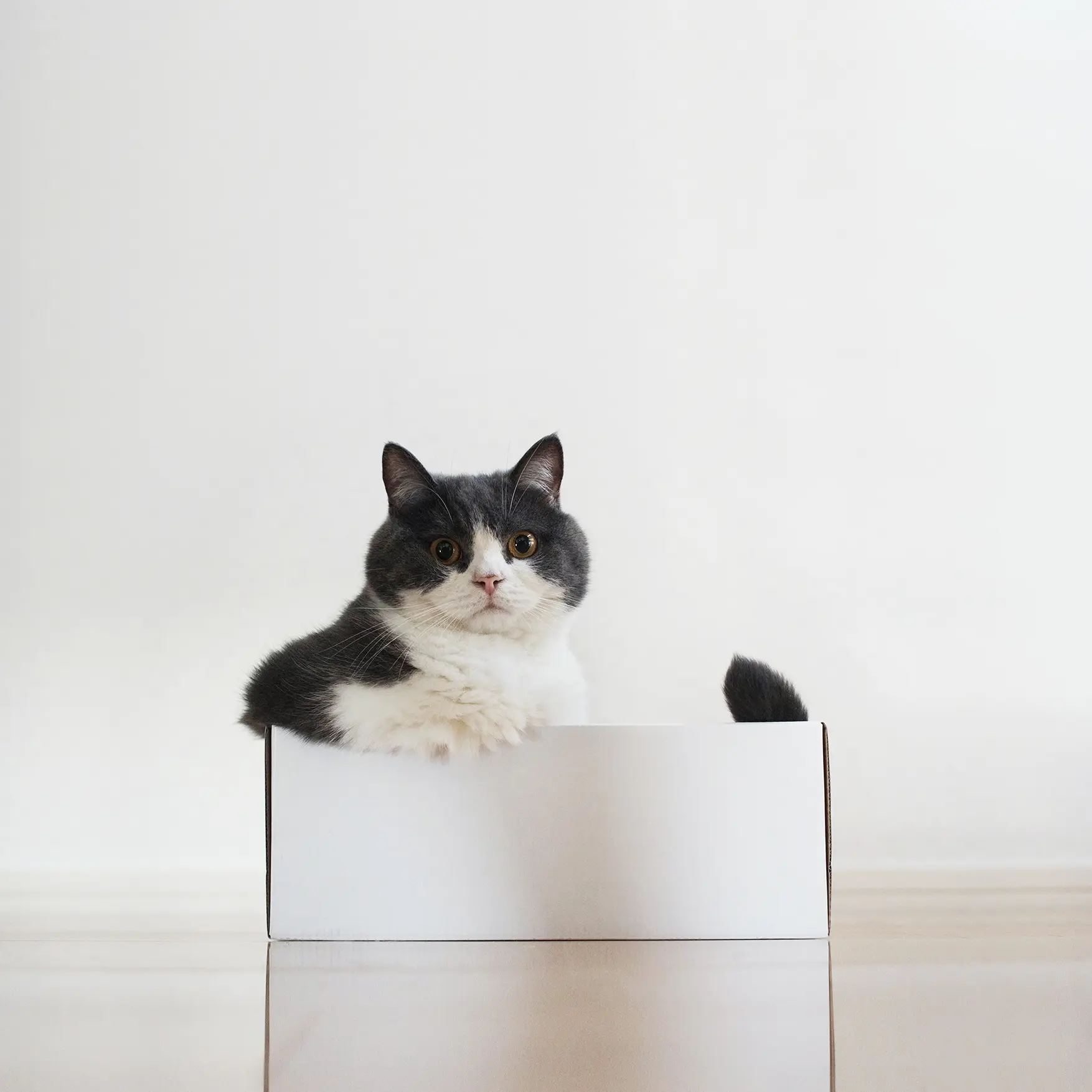 Thumbnail of the photo "DC036331"