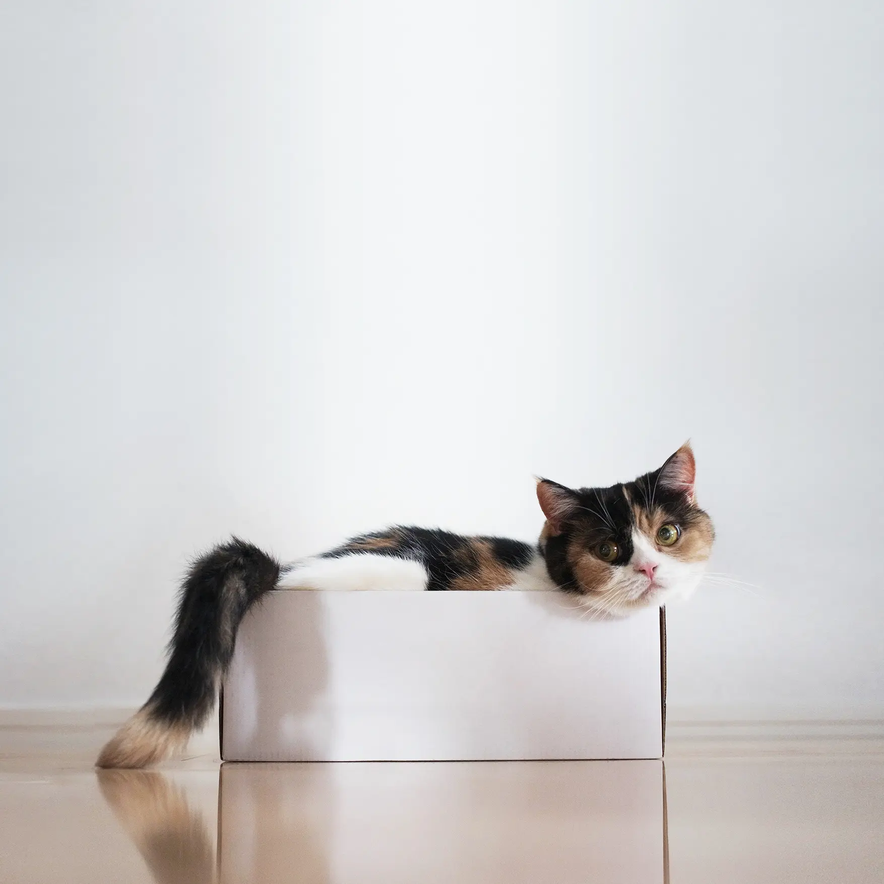 Thumbnail of the photo "DC036497"