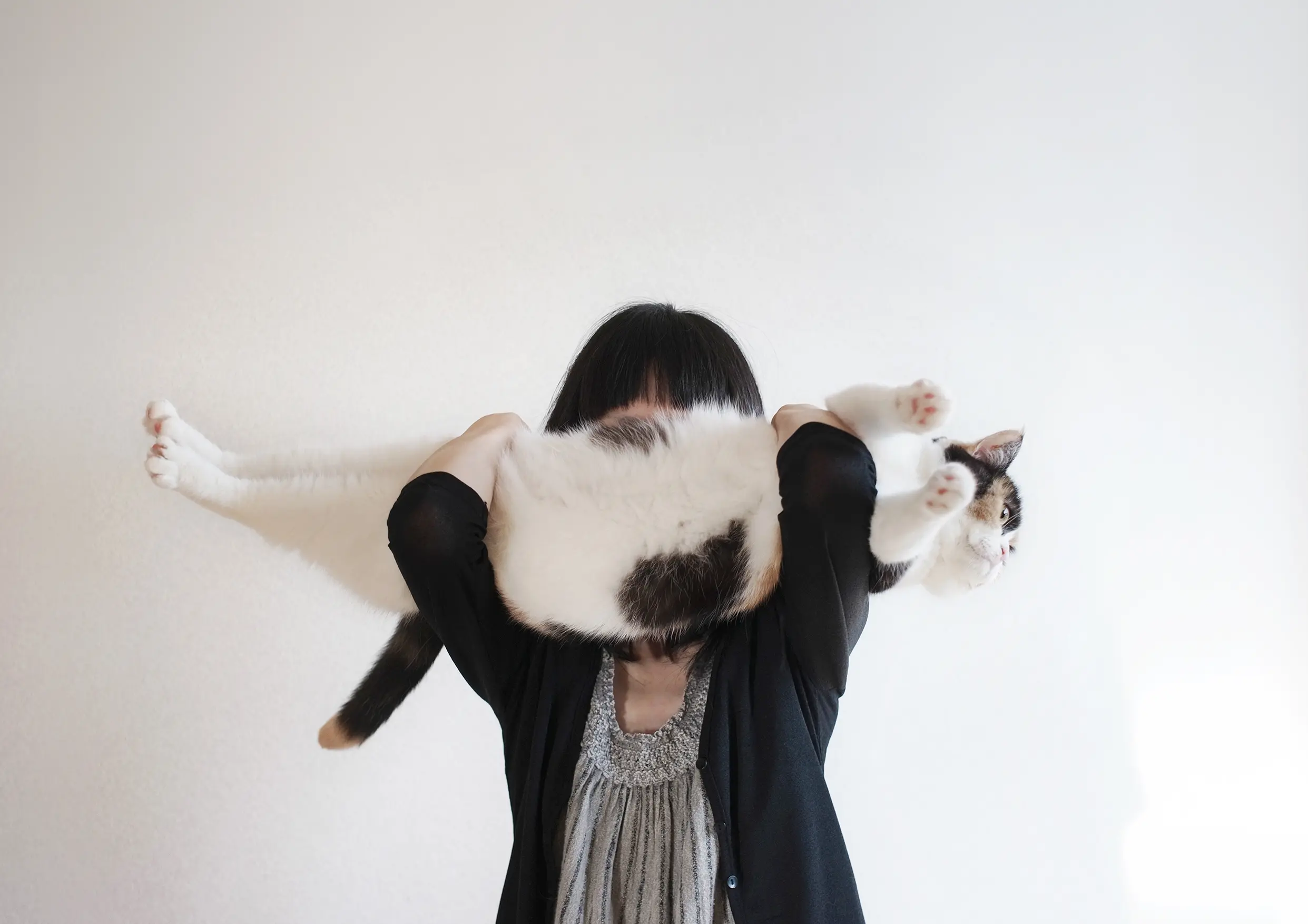 Thumbnail of the photo "DC036990"