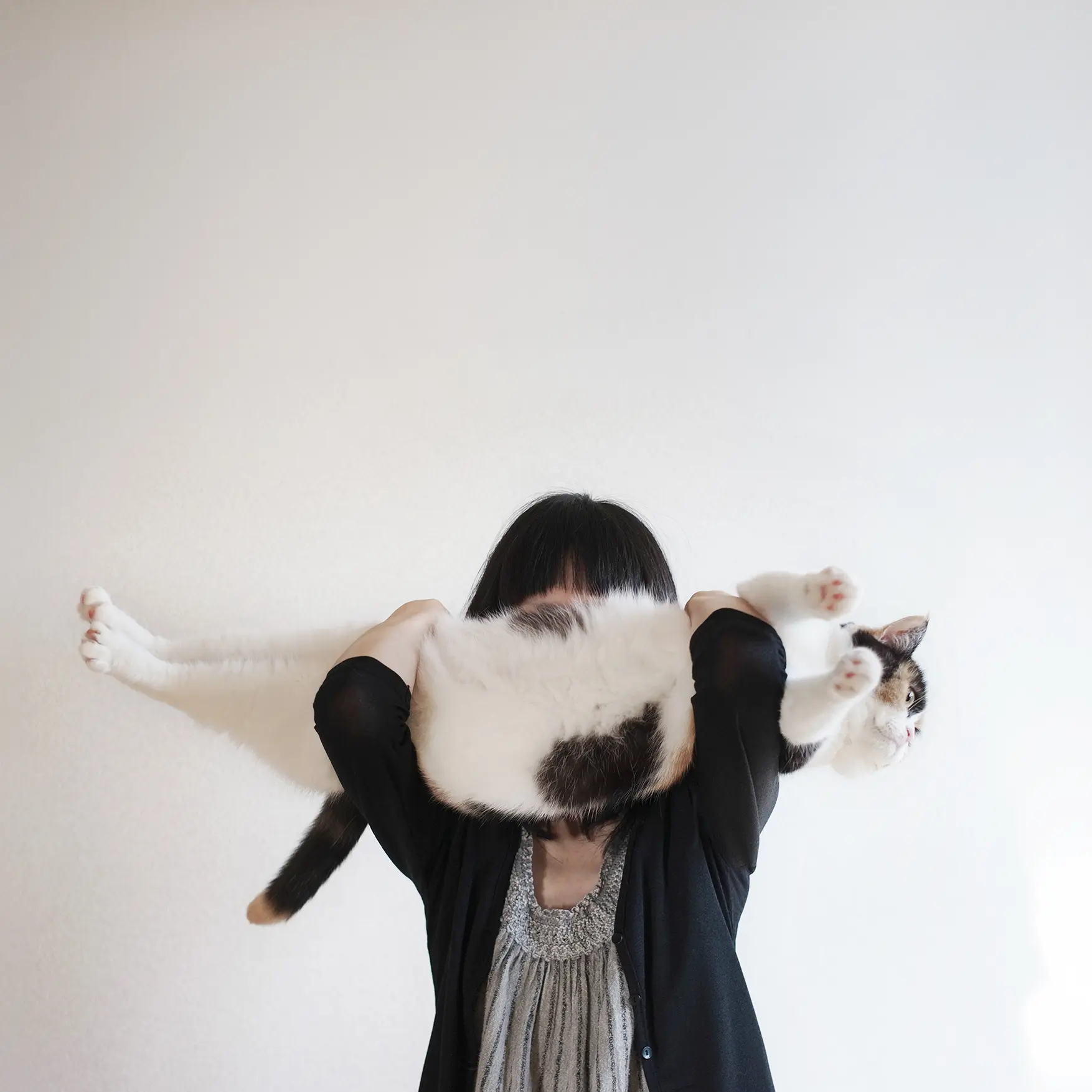 Thumbnail of the photo "DC036990"