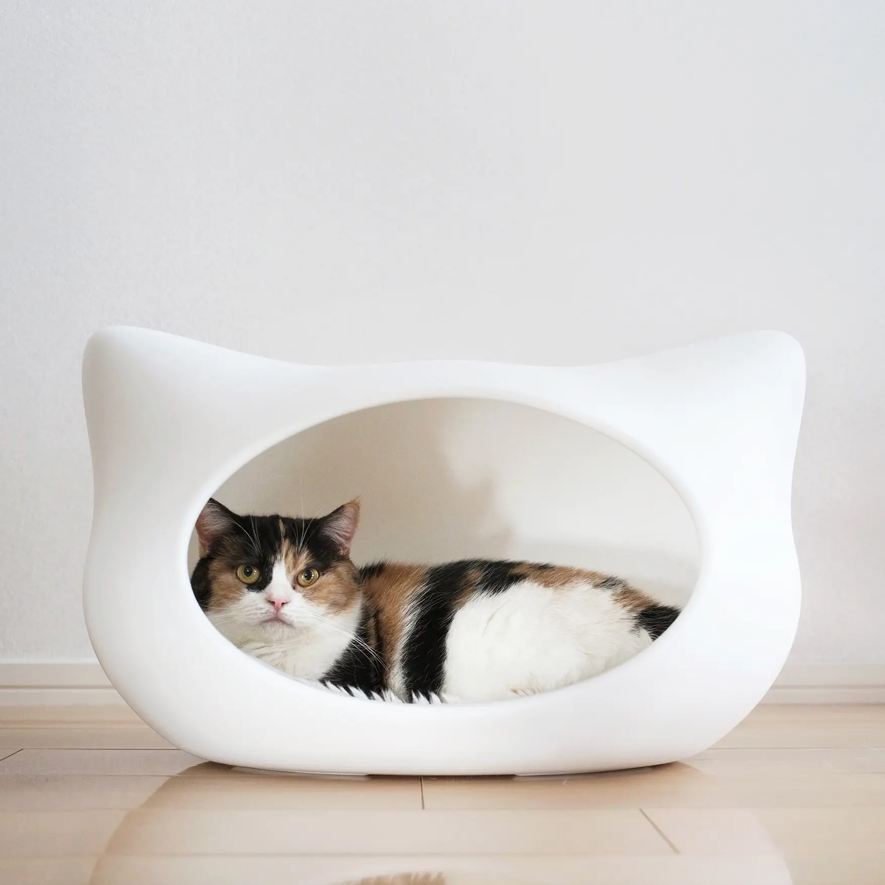 Thumbnail of the photo "DC037199"