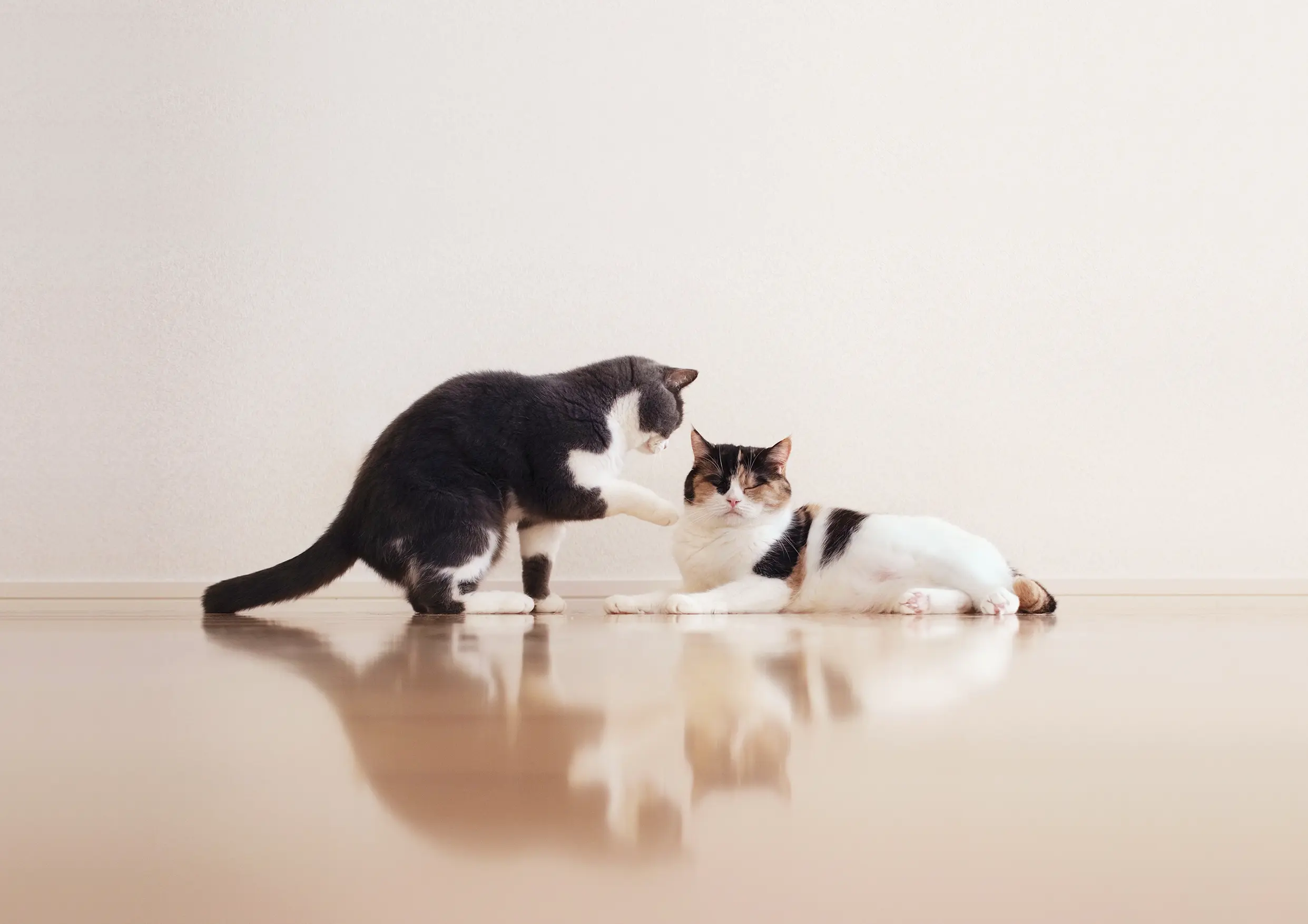 Thumbnail of the photo "DC037537"