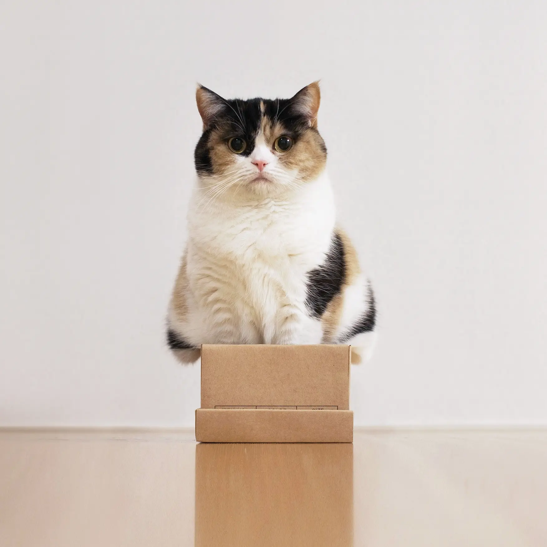 Thumbnail of the photo "DD040676"