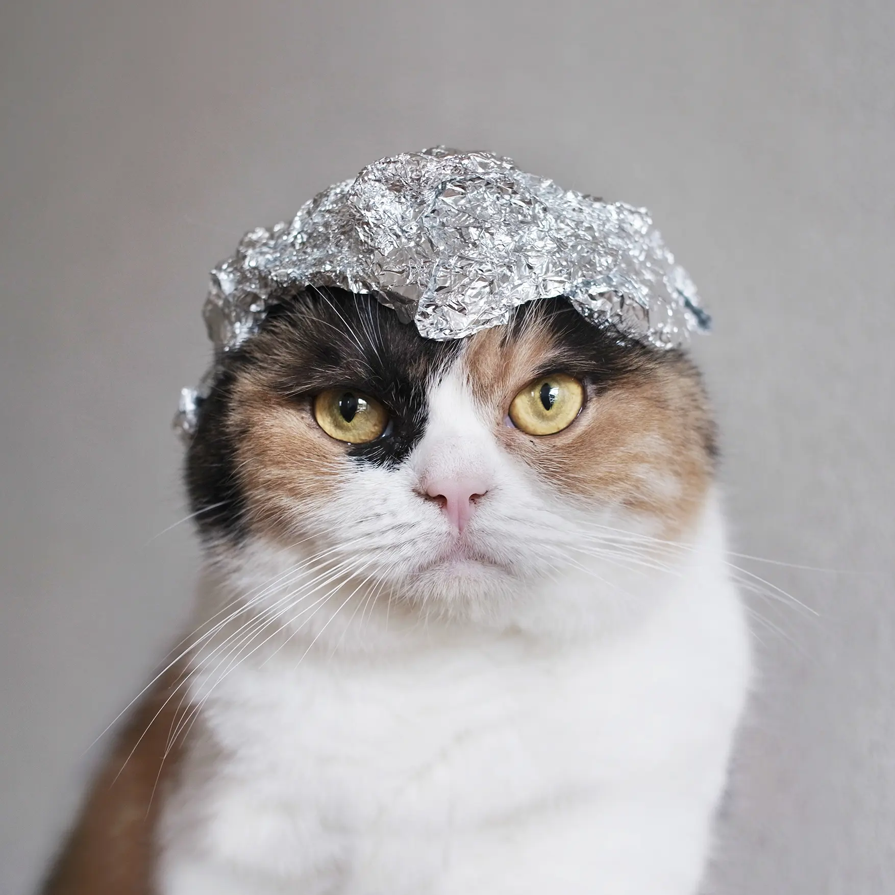 Thumbnail of the photo "DD043138"