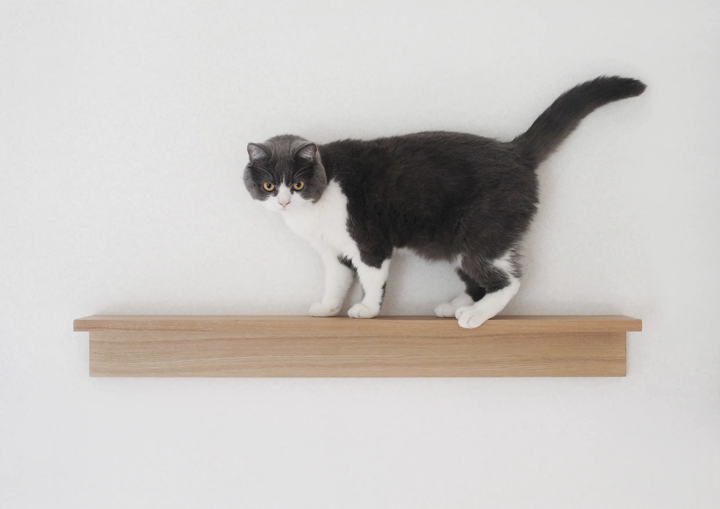 Thumbnail of the photo "DD047640"