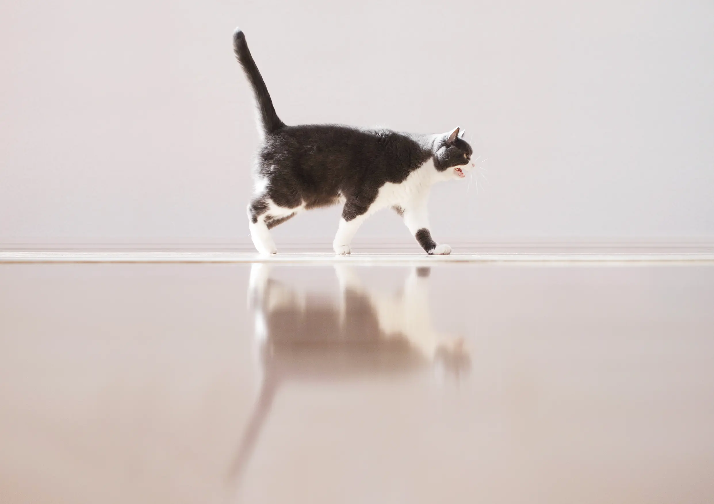 Thumbnail of the photo "DD051655"