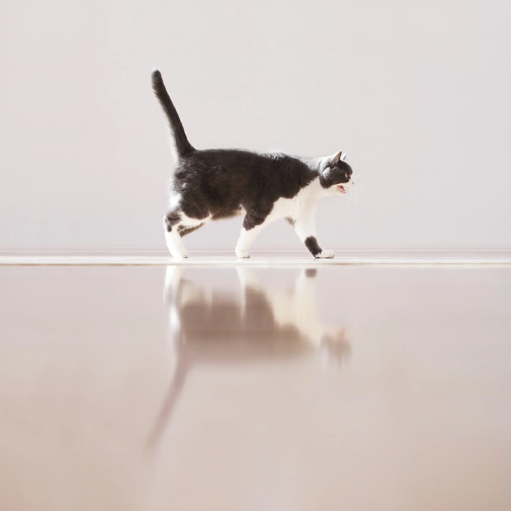 Thumbnail of the photo "DD051655"