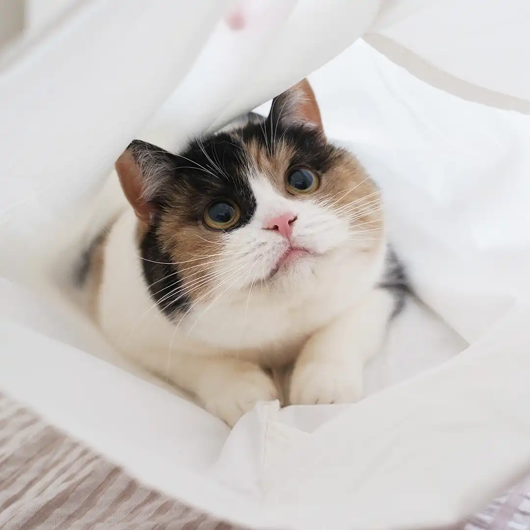 Thumbnail "DB018828"