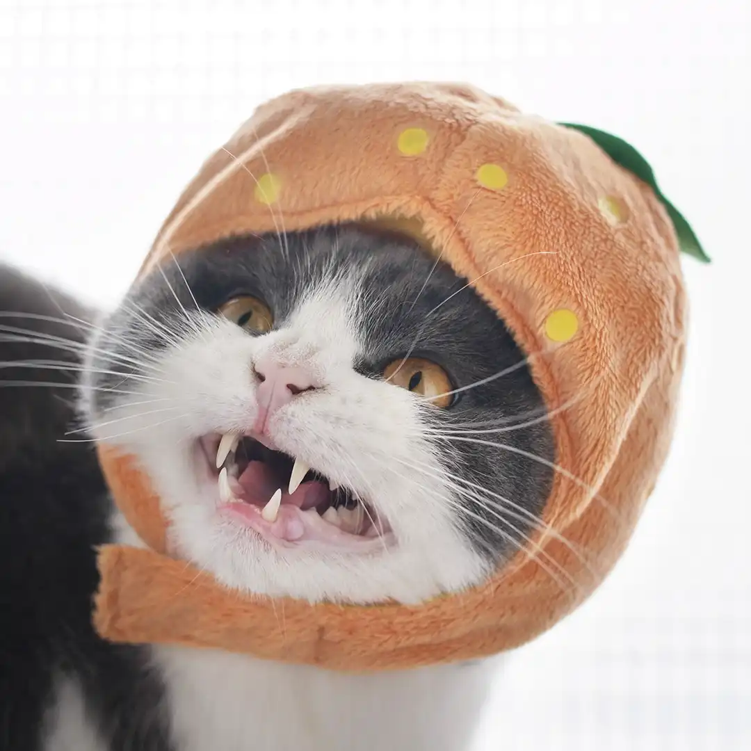 Thumbnail "DB019160"