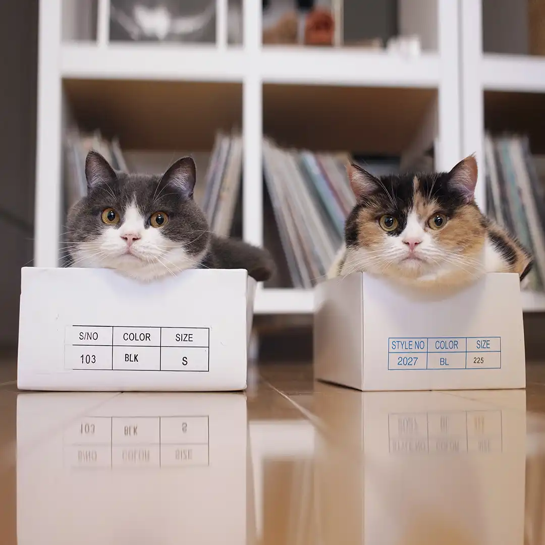 Thumbnail "DB024270"