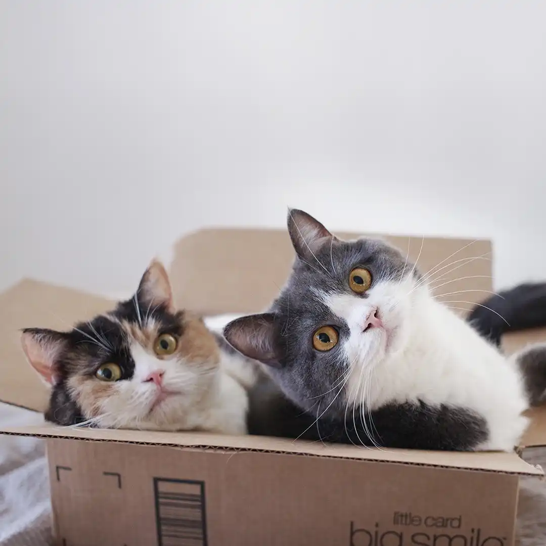 Thumbnail "DB024862"