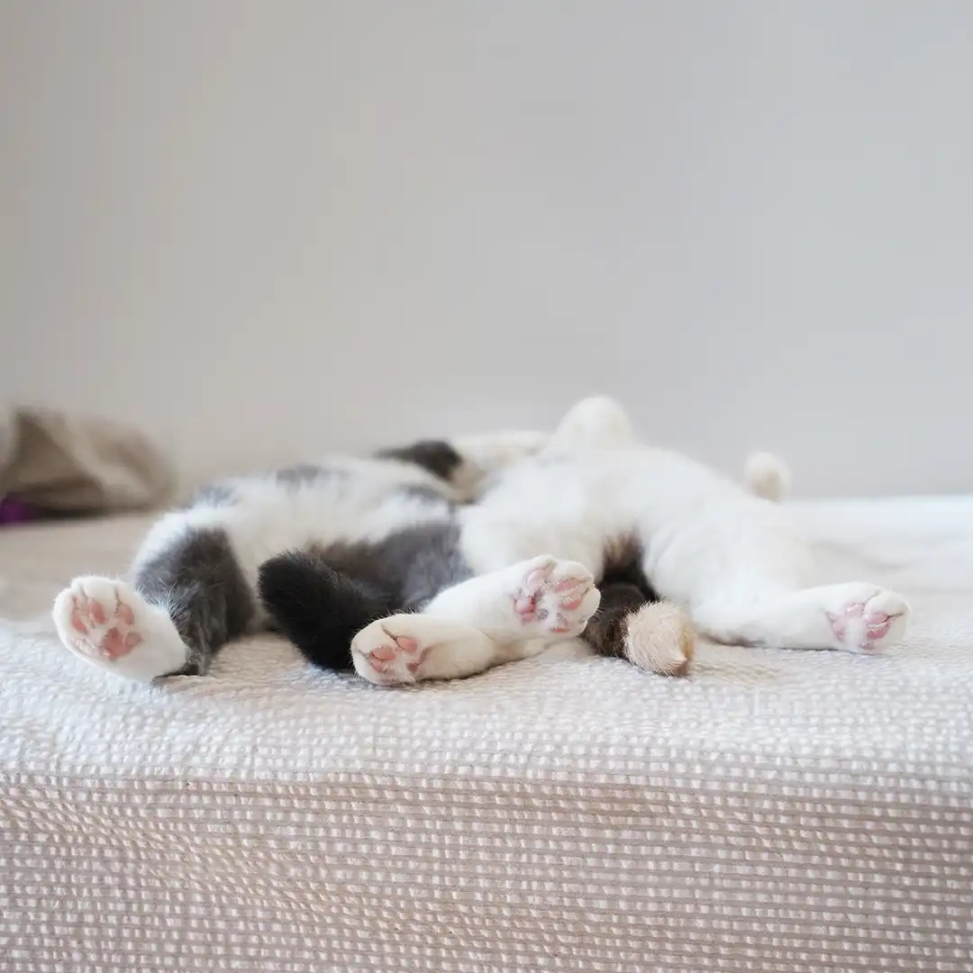 Thumbnail "DB025376"