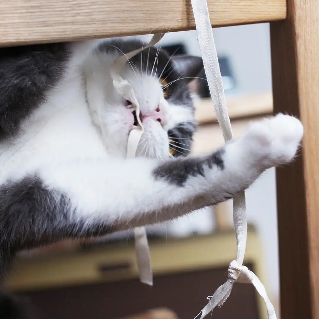 Thumbnail "DC032740"