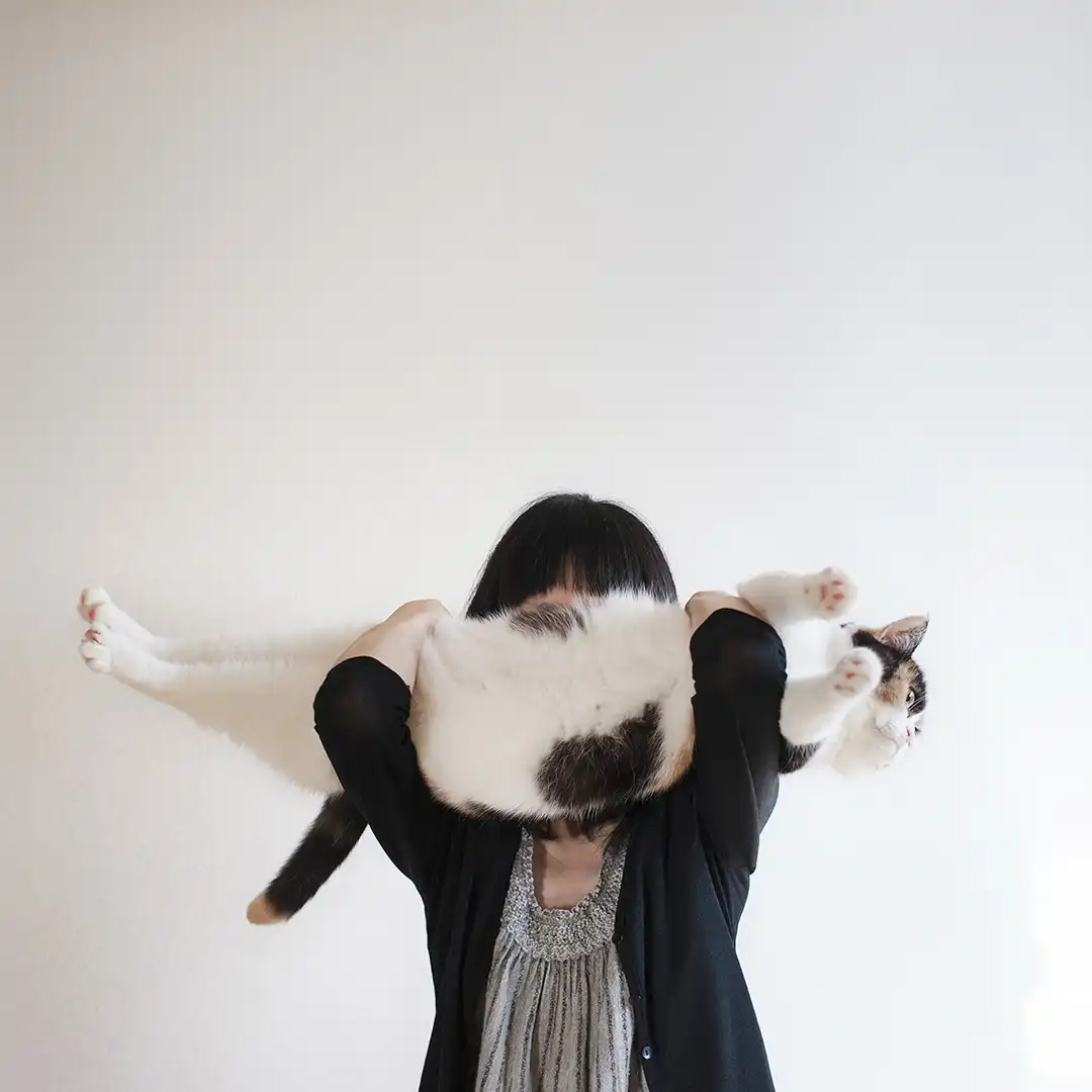 Thumbnail "DC036990"