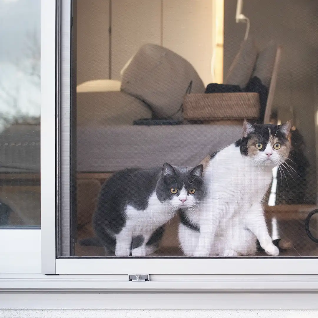 Thumbnail "DC039545"