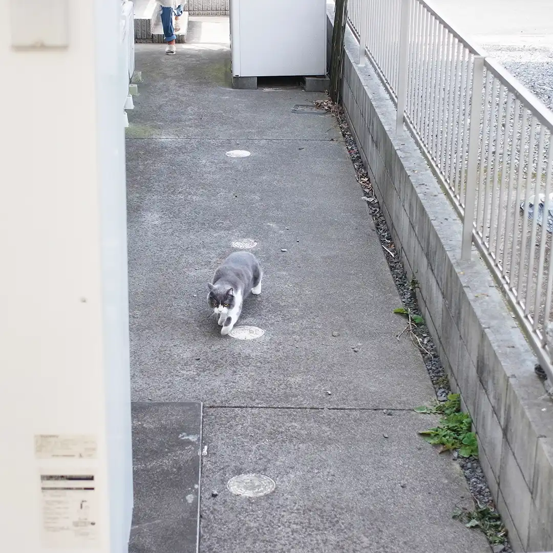 Thumbnail "DD040027"