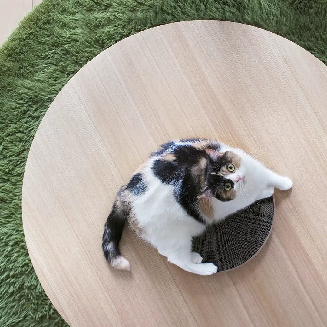 Thumbnail "DD044307"