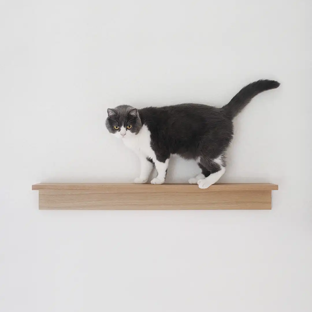 Thumbnail "DD047640"