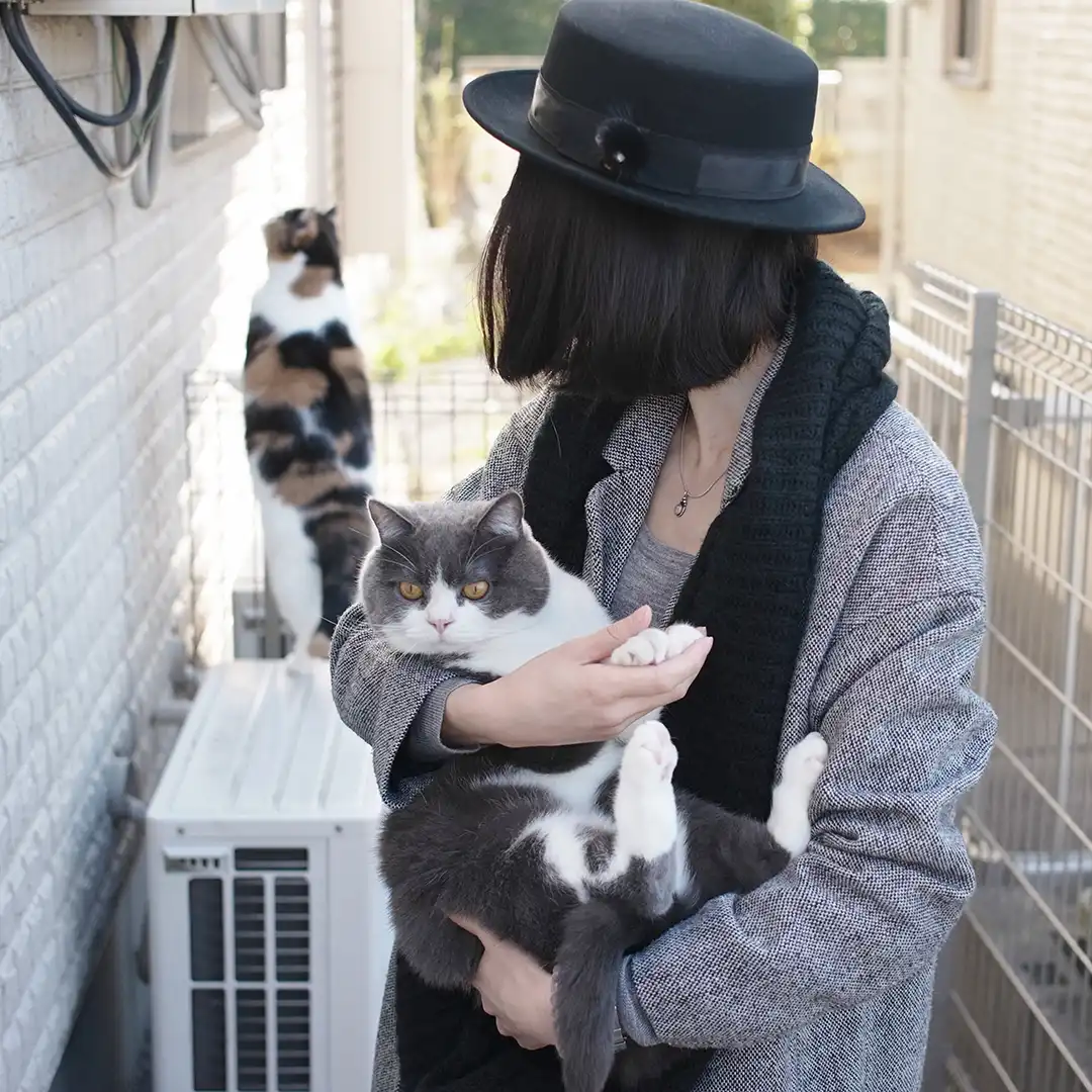 Thumbnail "DD050223"