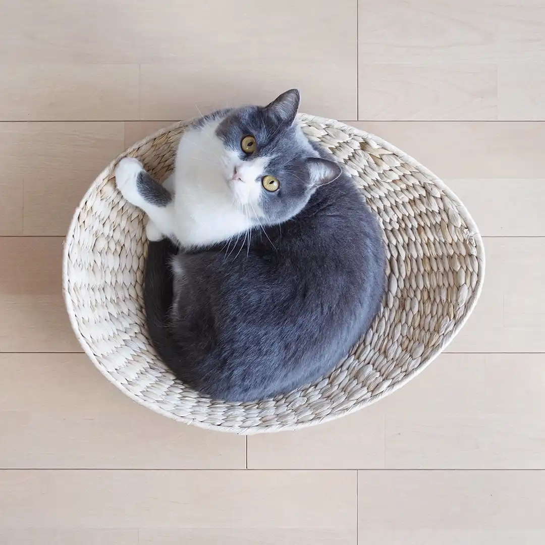 Thumbnail "EA032317"