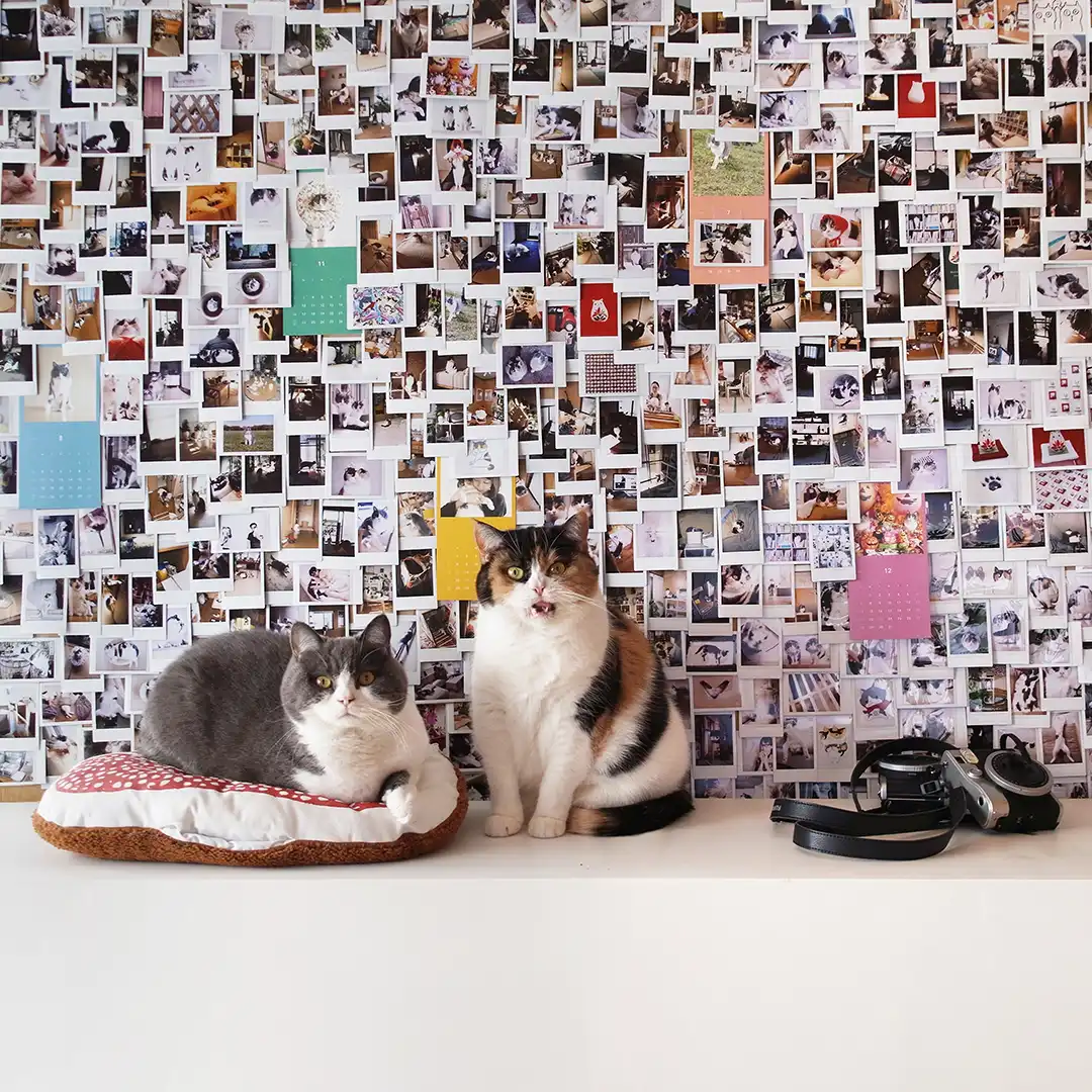 Thumbnail "ED011804"