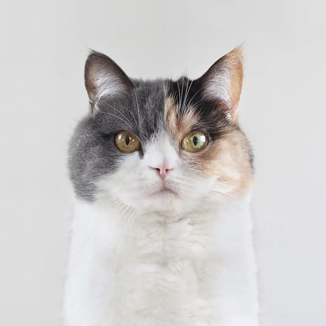 Thumbnail "XA000001"