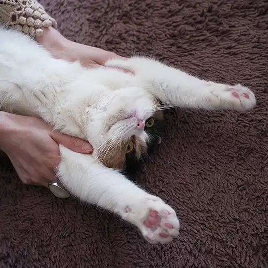 Thumbnail of the photo "DB019624"