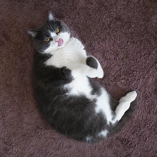 Thumbnail of the photo "DB020614"