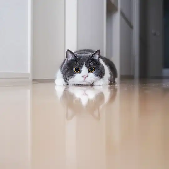 Thumbnail of the photo "DB023097"