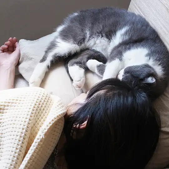 Thumbnail of the photo "DB023674"