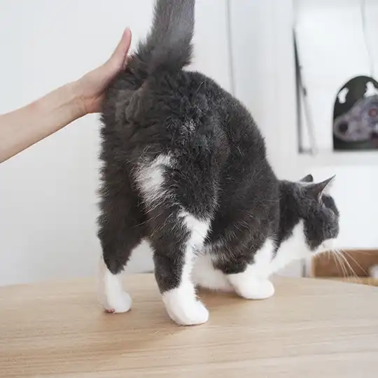 Thumbnail of the photo "DB023926"