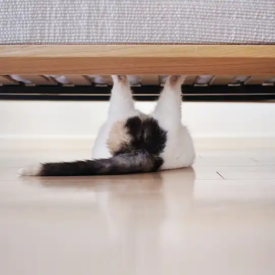 Thumbnail of the photo "DB025140"