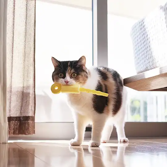 Thumbnail of the photo "DB026576"