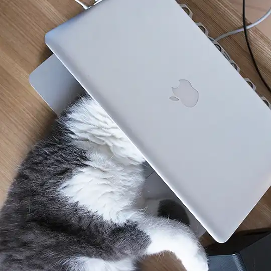 Thumbnail of the photo "DC033004"