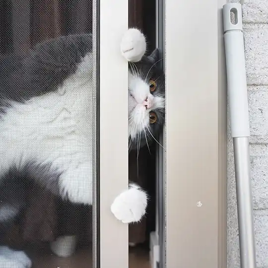 Thumbnail of the photo "DC035402"