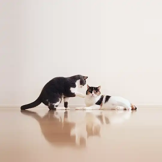 Thumbnail of the photo "DC037537"