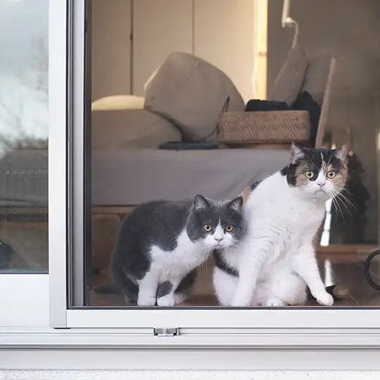 Thumbnail of the photo "DC039545"