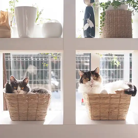 Thumbnail of the photo "DD040144"