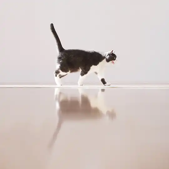 Thumbnail of the photo "DD051655"